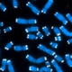 Image for article titled So-called 'Junk DNA' could be keeping you alive